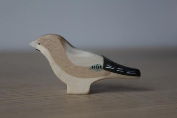 272115289_309298104464117_5938522431954052152_n 272115289_309298104464117_5938522431954052152_n