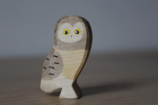 272212788_309298137797447_5939396341694424322_n