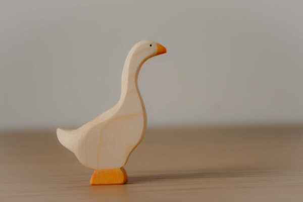 273463616_3030894053892122_174062833397683623_n