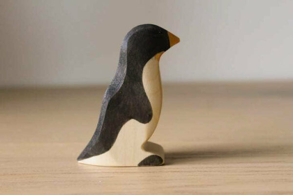 279372288_314264934113230_1553446585120458925_n