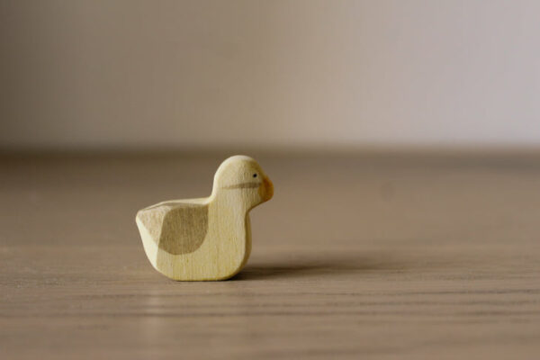 281548676_1162800160929561_710429454352896733_n