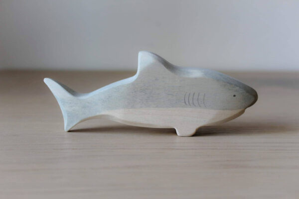 288053806_743072576938038_6876350188052005705_n