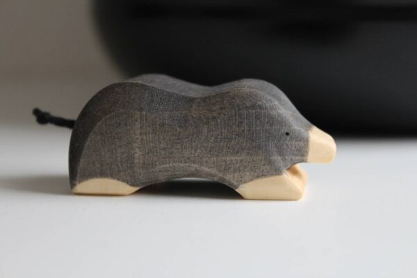 292419669_1080455786165945_7507273756616805492_n