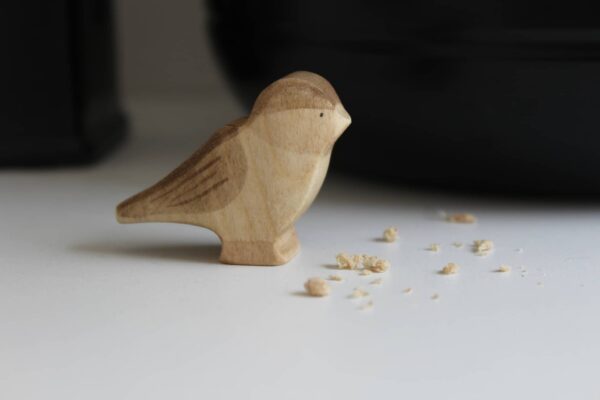 292792342_791139728552692_867899239837013446_n