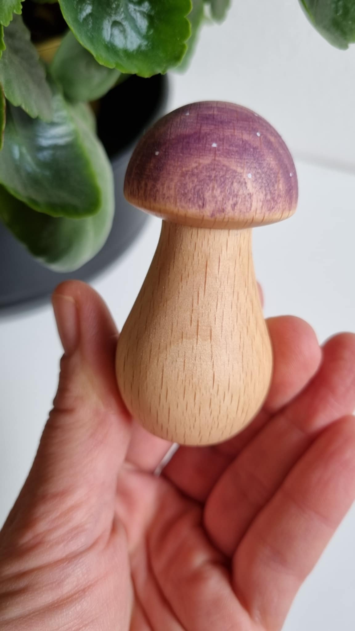 Messenger_creation_C60E885A-C077-410A-BA7C-F01F8B6C180E